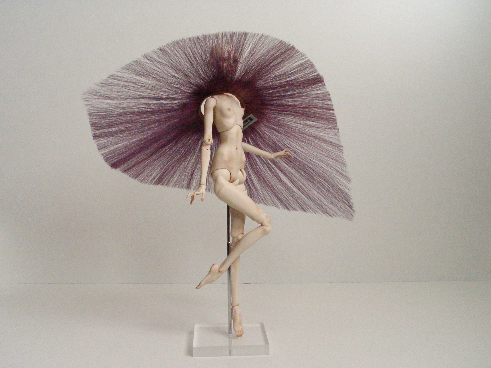 popovy bjd